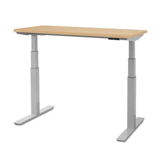 Height Adjustable Tables – ergoCentric Store