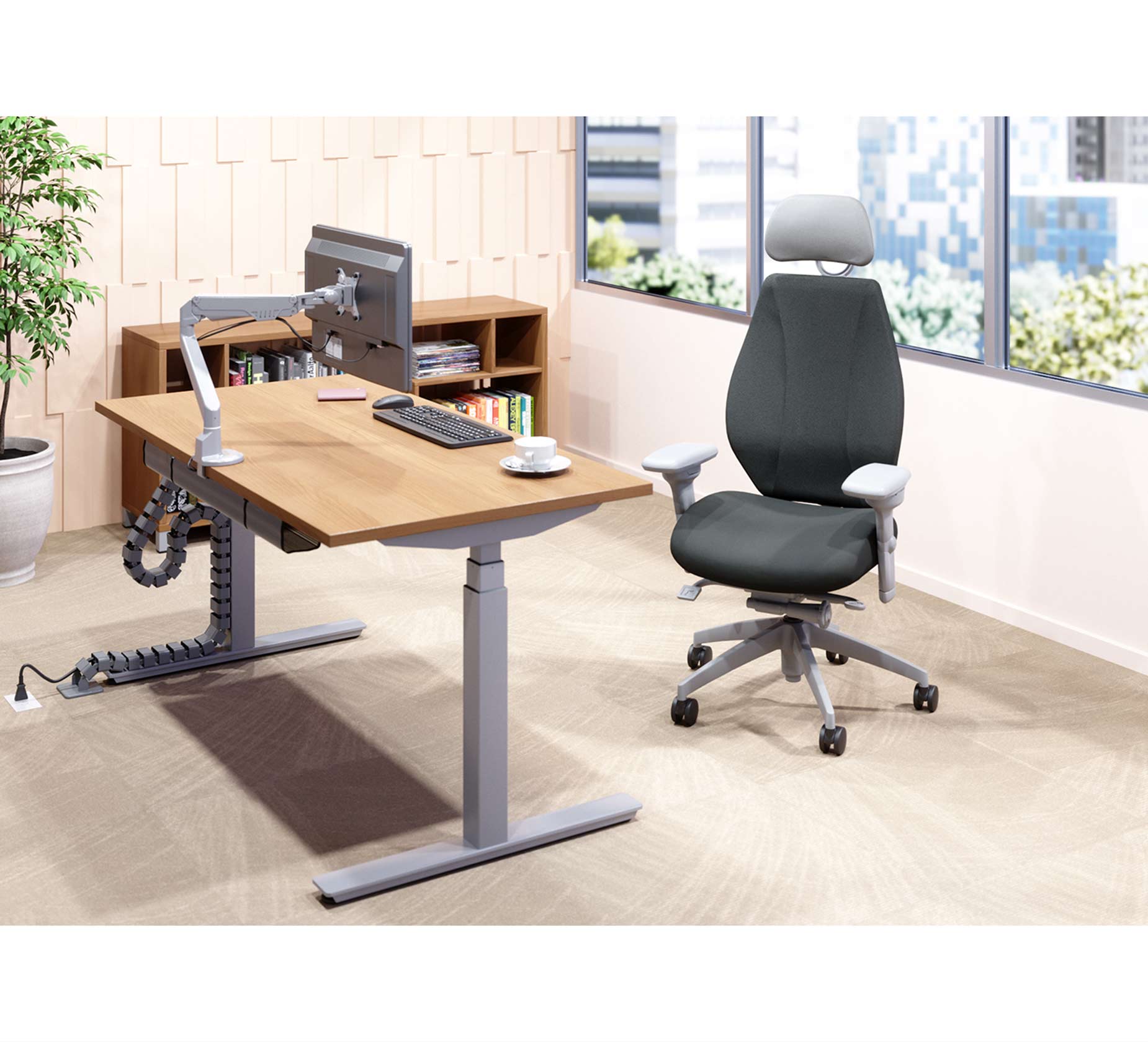 ergoCentric Store